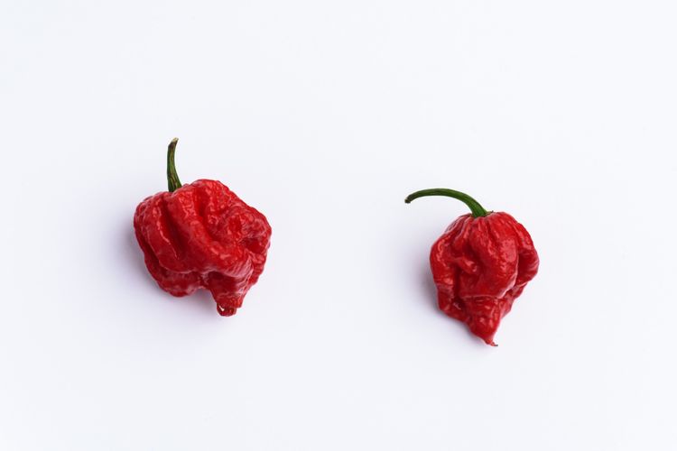 Cabai Carolina Reaper, cabai terpedas di dunia yang bikin seorang pria Amerika mengalami kerusakan di otak.