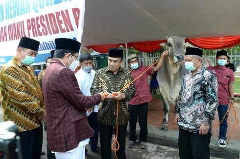 Presiden Jokowi Serahkan Sapi Kurban Seberat 1 Ton di Masjid Istiqlal