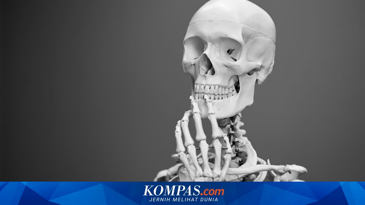Pakar Sebut Tubuh Hanya Bisa Menabung Kalsium Sampai Usia 30 Tahun, Apa Artinya?