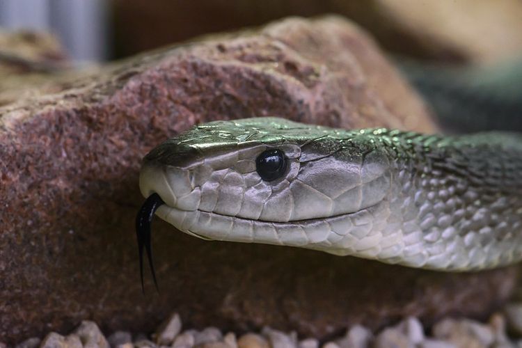 Umumiy saunada yashirin kamera