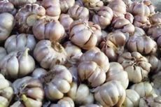 Spekulan Mainkan Harga Bawang Putih, Satgas Pangan Cianjur Terjunkan Tim