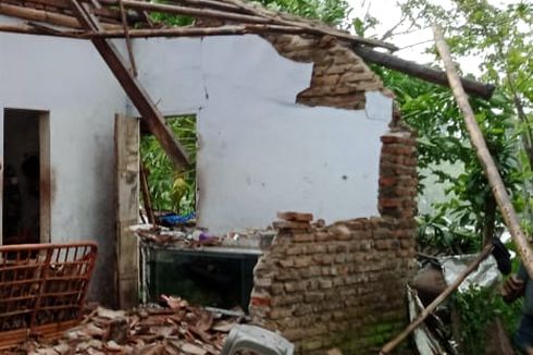 Puting Beliung di Jember, 5 Rumah Warga Rusak dan Sejumlah Pohon Tumbang