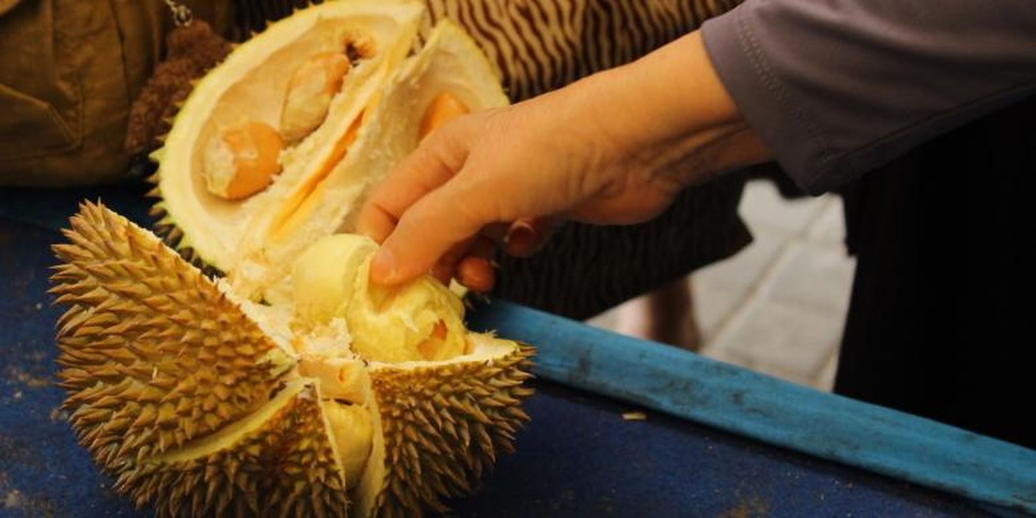 Download 4100 Koleksi Gambar Durian Kecil  HD