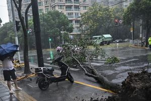 Shanghai Lumpuh Diterjang Topan Terkuat Sejak 1949, Seperti Ini Kerusakannya