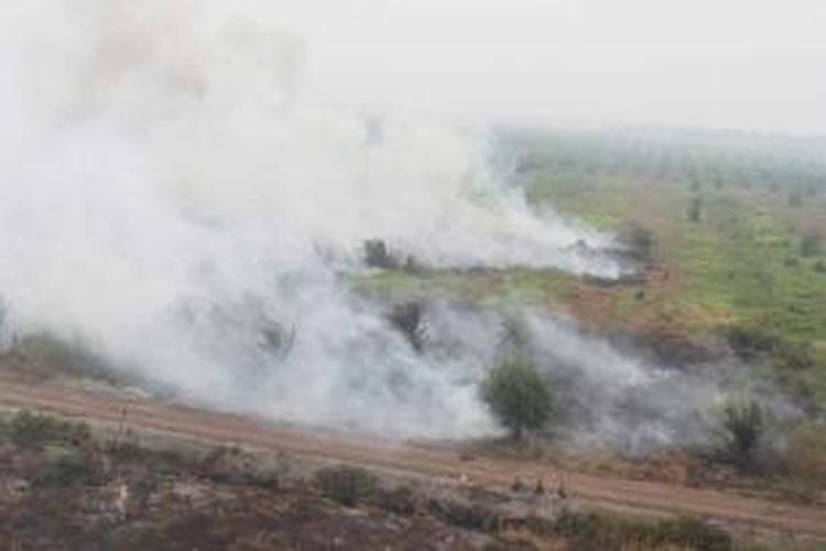 Perkebunan kelapa sawit di Kabupaten Kubu Raya, Kalimantan Barat, terlihat terbakar, Minggu (20/9/2015). Kebakaran terpantau melalui patroli udara Badan Nasional Penanggulangan Bencana.