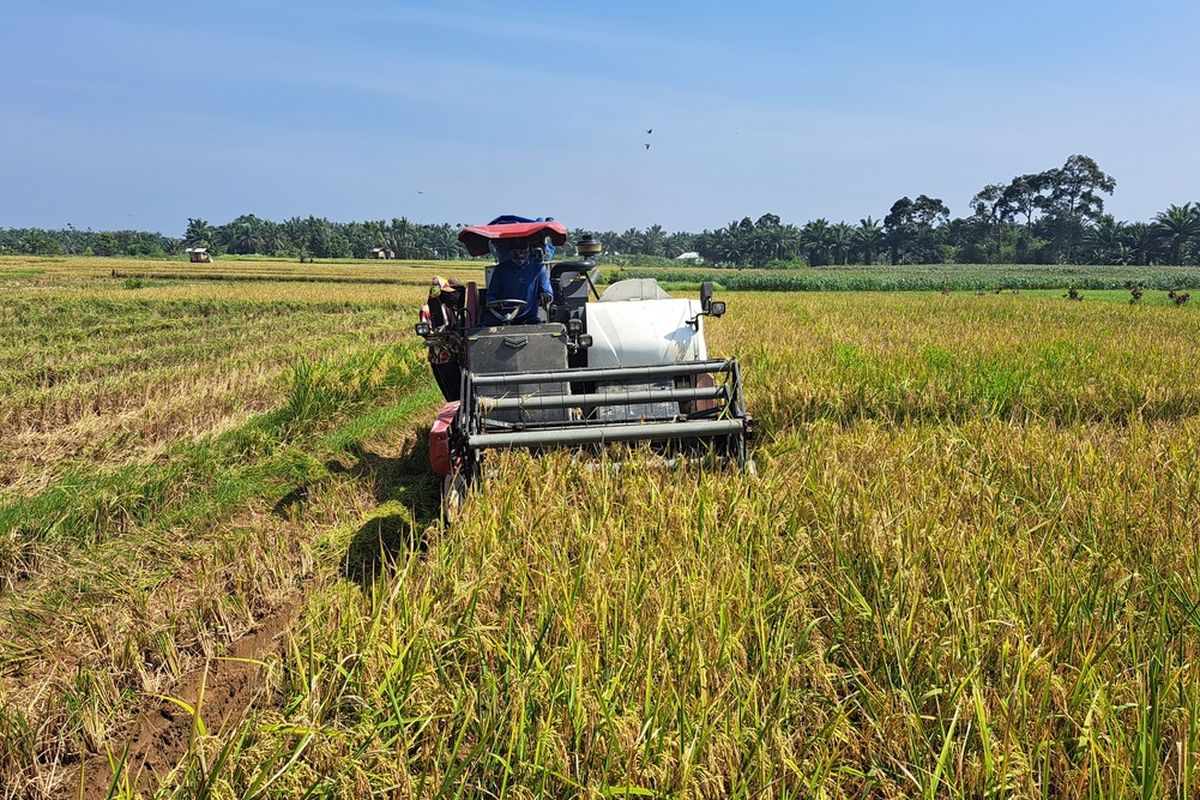 Negara agraris adalah negara yang sebagian besar penduduknya bekerja sebagai petani di pedesaan. Sebagian besar penduduk indonesia bekerja di bidang pertanian karena memiliki lahan yang subur. Selain itu, indonesia adalah negara agraris karena sektor perekonomiannya sangat ditopang dari hasil pertanian.
