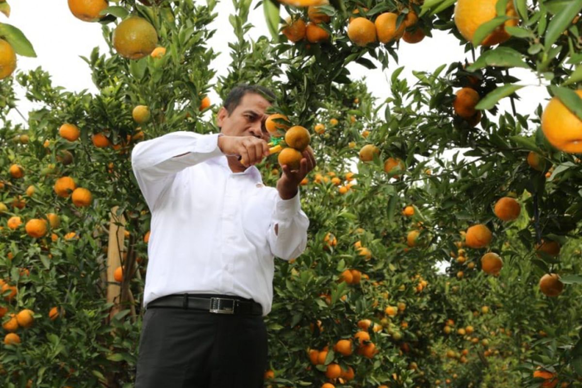Menteri Pertanian Andi Amran Sulaiman di lokasi pelepasan bantuan di Kebun Percobaan Punten. Kota Batu, Malang, Jawa Timur, Selasa (17/7/2018). 