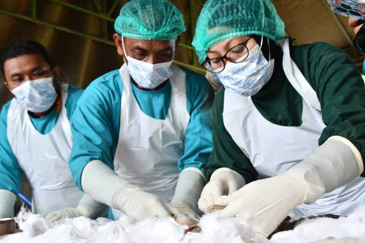 Curiga Korban Kekerasan, Polres Aceh Timur Bongkar Makam Bayi yang Ditemukan di Sungai