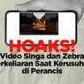 INFOGRAFIK: Hoaks! Video Singa dan Zebra Berkeliaran di Jalanan Paris, Perancis