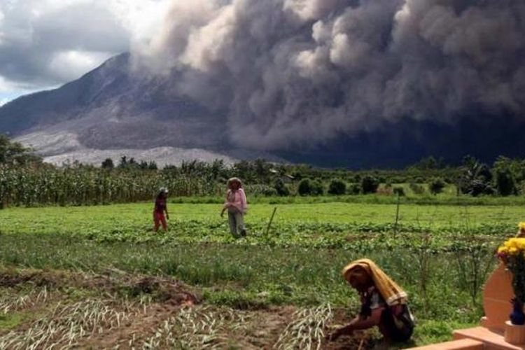 Erupsi Gunung Sinabung disertai dengan luncuran awan panas terlihat dari Desa Jeraya, Karo, Sabtu (13/6/2015) . Gunung Sinabung yang kini masih berstatus Awas masih mengalami peningkatan aktivitas.