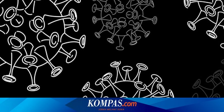 Deretan Temuan Baru Terkait Virus Corona