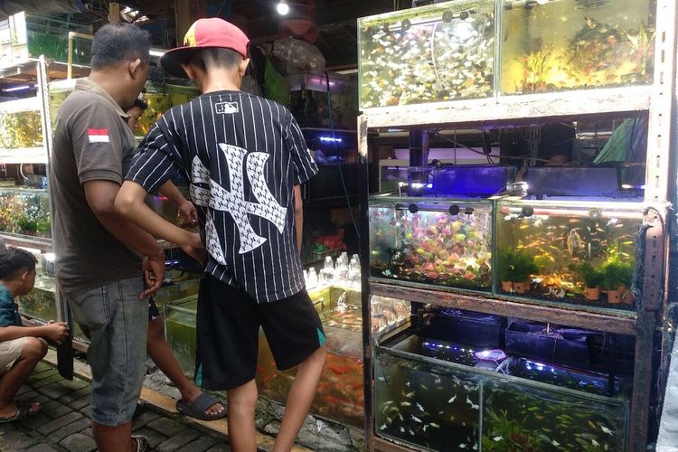 Takut Ikan Mati saat Listrik Padam, Pedagang Pasty Jogja Tak Berani Tambah Stok