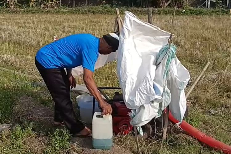 Dampak Kemarau, Petani di Ambarawa Beli Pertalite Rp 800.000 Sebulan untuk Pompa Air