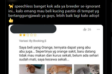 Ramai soal Jual Beli Kucing di Marketplace, Ini Tanggapan Pengamat Satwa