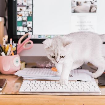 Ilustrasi kucing di atas keyboard.