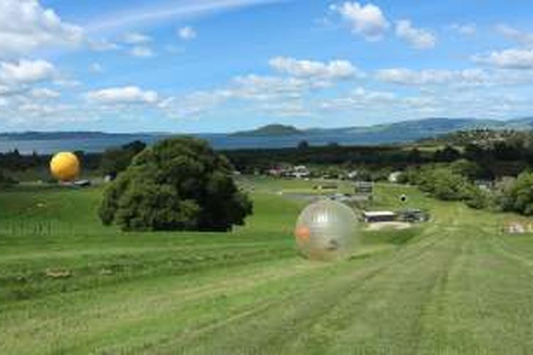 Wahana Ogo di Rotarua, Selandia Baru. Pengunjung masuk ke dalam bola besar bernama OGO digelindingkan dari puncak bukit. 