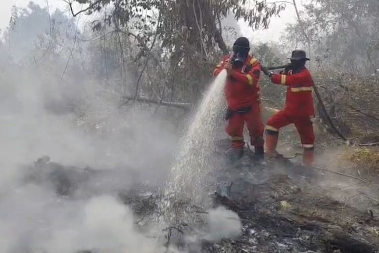 Karhutla di Inhu Riau Tak Kunjung Padam, Petugas Hadapi Asap Tebal dan Akses Sulit
