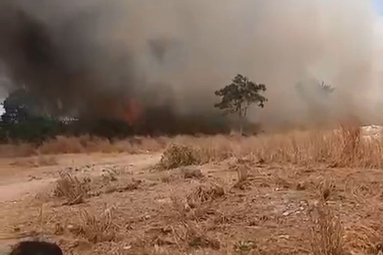 5.000 Meter Persegi Lahan di Kampung Bandan Jakut Terbakar, 5 Jam Baru Padam