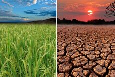 12 Dampak Pemanasan Global Bagi Kehidupan
