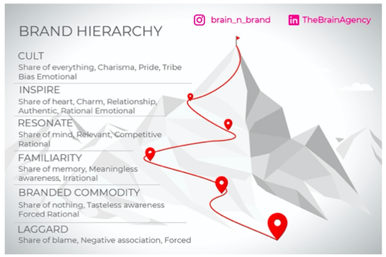 Brand Hierarchy