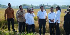 Puas dengan Hasil Panen Raya di Sulsel, Jokowi Minta Beras Segera Didistribusikan ke Wilayah Lain
