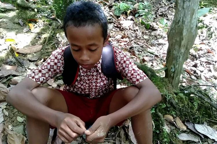 Demi Sekolah Siswa Terpencil di Mateng Dihadang Ular, Monyet Hingga Babi Hutan