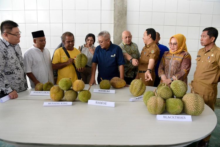 Durian asal Parigi Moutong, Sulawesi Tengah.