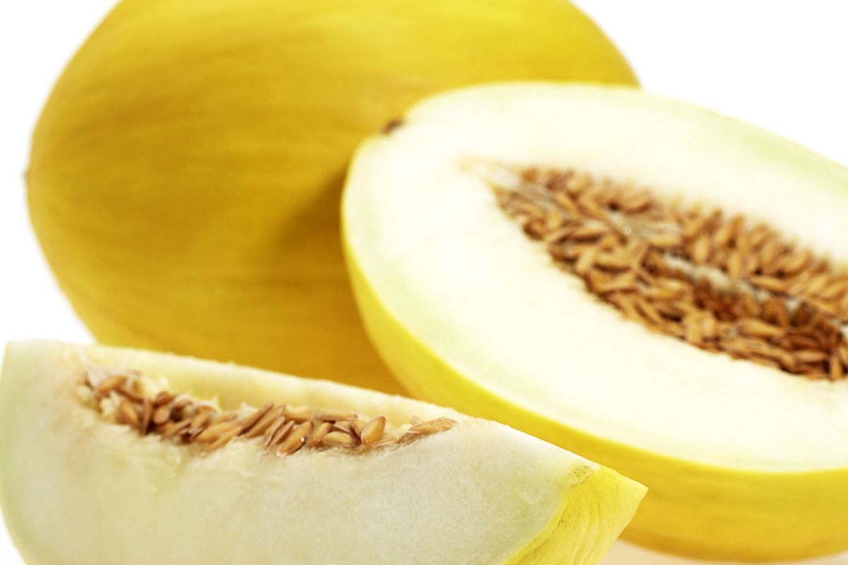 Ilustrasi timun suri. 