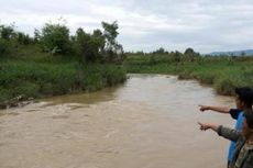 Tiga Fosil Hewan Purba Ditemukan di Gunung Kidul