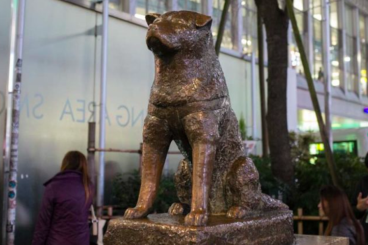 Patung Hachiko, anjing paling setia di dunia di Stasiun Shibuya, Jepang