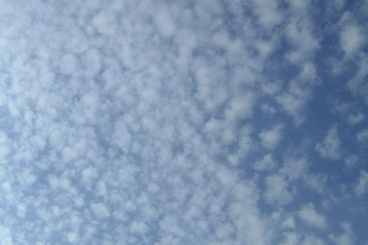 Awan Cirrocumulus adalah salah satu jenis awan tinggi.