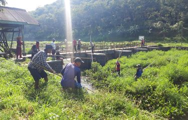 Anggota Forum Petani Rawa Pening Bersatu (FPRPB) melakukan kerja bakti pembersihan eceng gondok