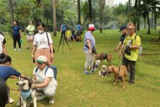 Tersisih dari Car Free Day, Anabul Justru Jadi 