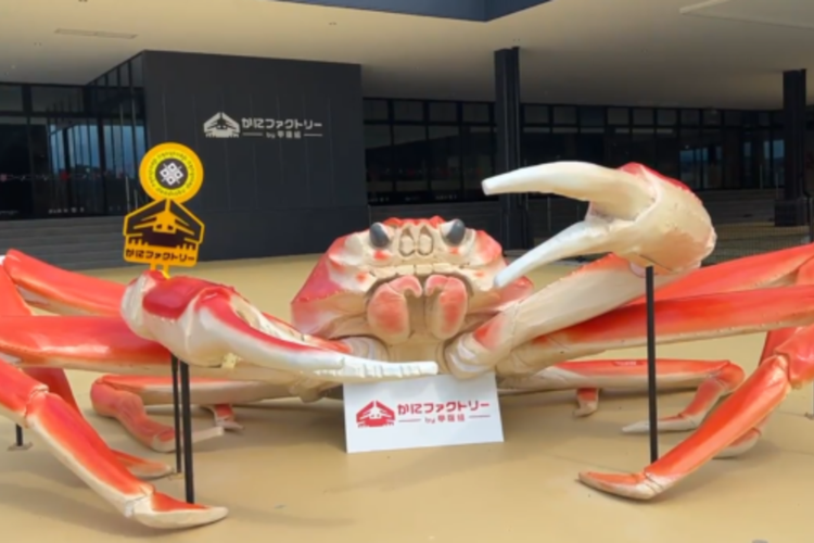Wisata Jepang yang Unik, Pabrik Kepiting Ini Bisa Dikunjungi Gratis