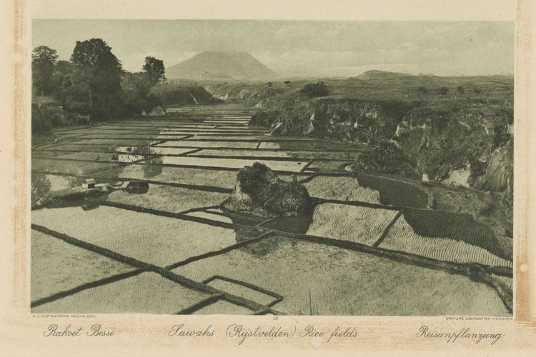 Kartu pos bergambar sawah di Sumatra (1903-1920). Dibuat oleh Charles J. Kleingrothe dan dicetak oleh J.B Obernetter