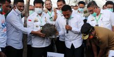 Mentan Dukung Budi Daya Porang yang Berpotensi Diekspor