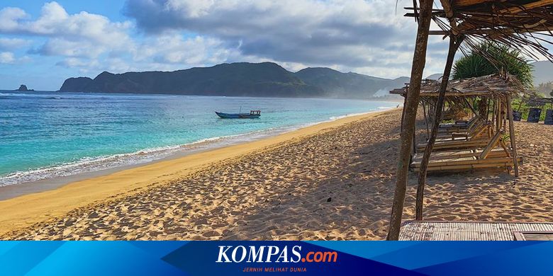 10 Biota Laut di Lombok, dari Sotong Buluh hingga Teripang - Vimarsana News