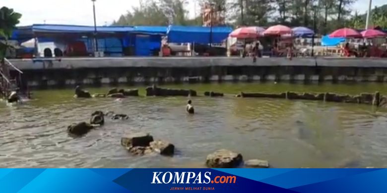 Mengenal Pantai Air Manis Lokasi Batu Malin Kundang Yang Viral Halaman All Kompas Com