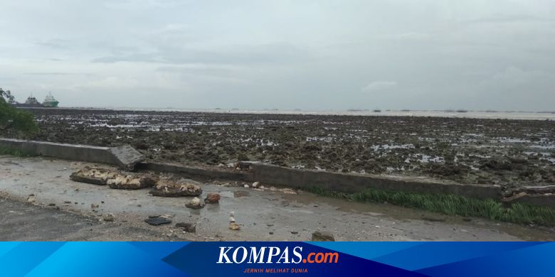 Mengatasi Genangan Air di Gresik, Tanggul Penahan Akan Dibangun di Sepanjang Kali Lamong