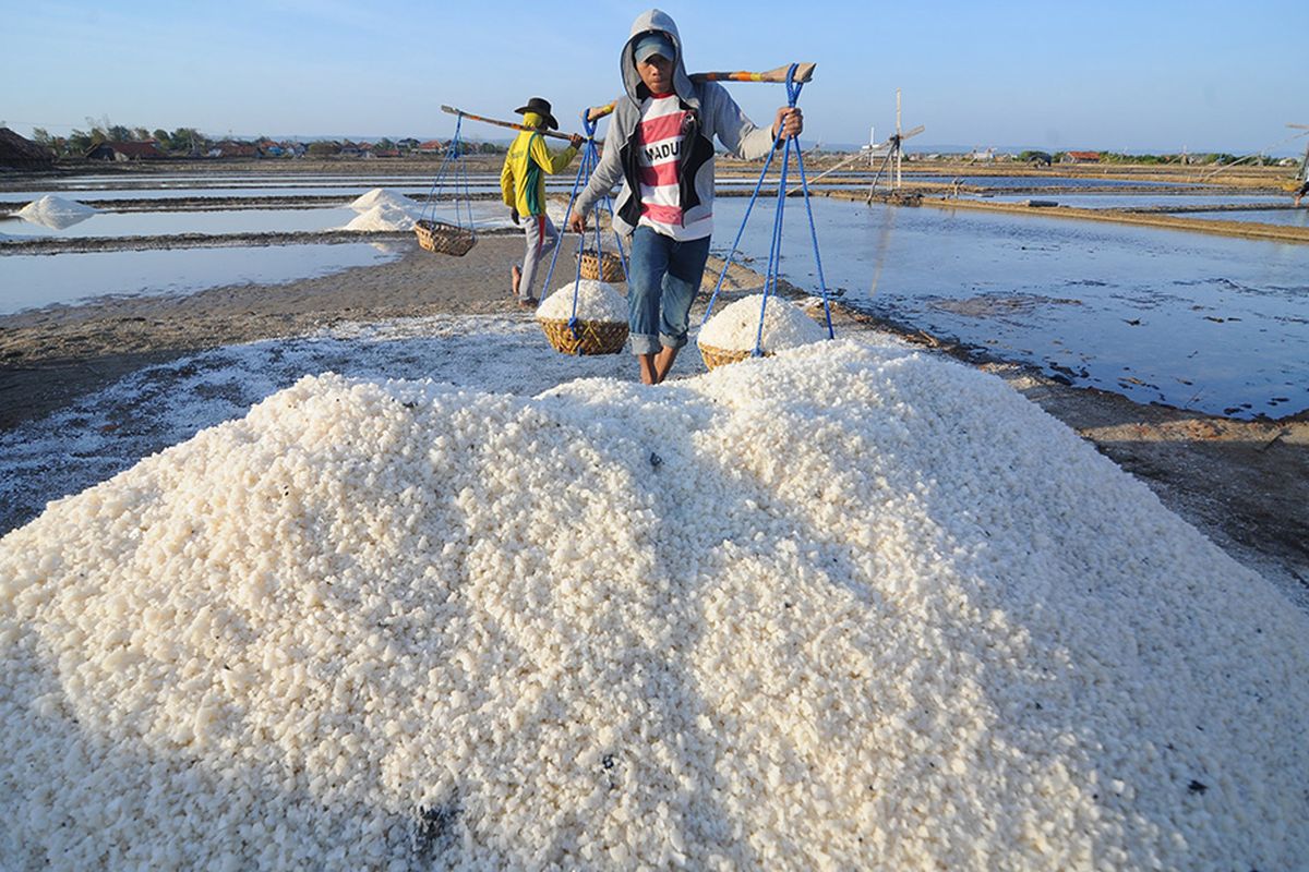 Foto dirilis Senin (2/11/2020), memperlihatkan petani memanen garam di Desa Bunder, Pademawu, Pamekasan, Jawa Timur. Pemerintah melalui Kementerian Koordinator Bidang Kemaritiman dan Investasi (Kemenko Marves) terus berupaya dan mendorong pembangunan lumbung garam nasional dengan penekanan pada peningkatan kuantitas dan kualitas produksi garam rakyat.