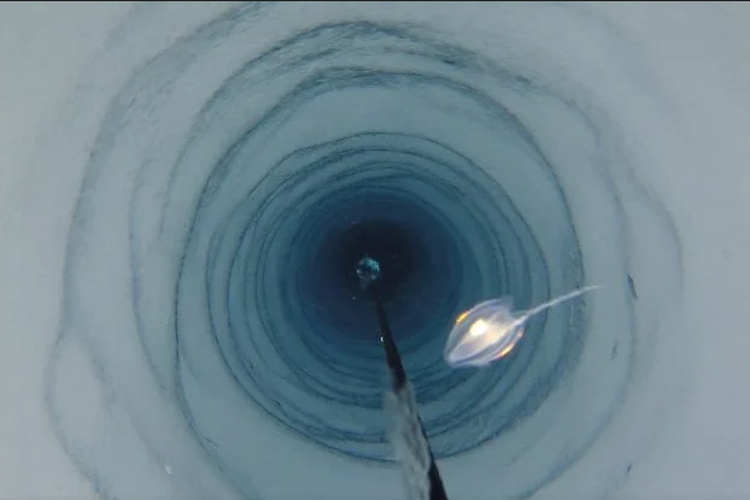 Dunia tersembunyi di bawah es Antartika. Kamera peneliti saat melakukan eksplorasi di Antartika. Peneliti menurunkan kamera ke lubang sedalam 300 meter di  Filchner-Ronne Ice Shelf di Antartika. 