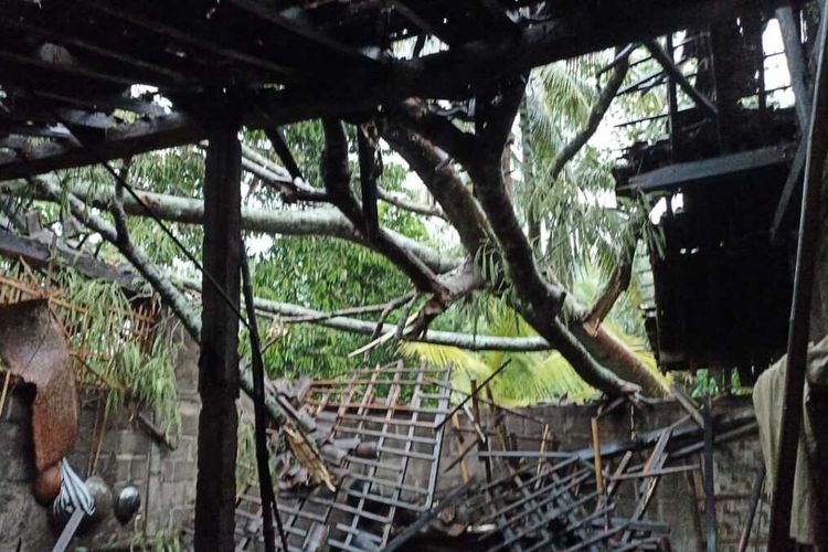 Fenomena Hujan Angin dan Pohon Tumbang di Kulon Progo, Warga Diminta Waspada
