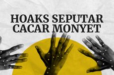 INFOGRAFIK: Berbagai Hoaks Seputar Cacar Monyet, Simak Faktanya...