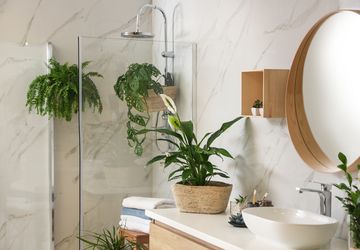 6 Tanaman Hias Paling Cocok untuk Kamar Mandi Menurut Feng Shui