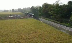 Bantu Peternak Indramayu Atasi Kemarau, Kementan Bangun Embung 