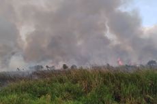 Cerita Para Ibu di Kalimantan Barat Tangkal Kabut Asap demi Buah Hati