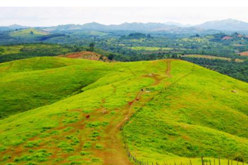 10 Daftar Bukit di Kalimantan, Salah Satunya Bukit Jamur Bengkayang