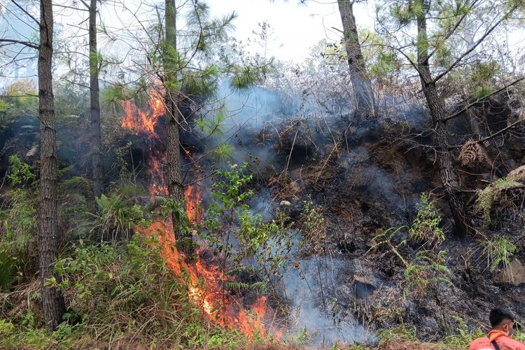 Penampakan kebakaran hutan dan lahan (Karhutla) terjadi Menara Pandang Tele, Desa Partungko Naginjang, Kecamatan Harian, Kabupaten Samosir, Sumatera Utara, Rabu (2/7/2025).