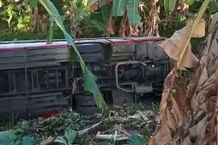 Bus DK 7061 OD yang mengangkut pemudik terjatuh ke jurang setelah terlibat kecelakaan beruntun di Jalan Raya Denpasar- Gilimanuk, Desa Melaya, Kecamatan Melaya, Kabupaten Jembrana, Provinsi Bali, Kamis (27/4/20243).