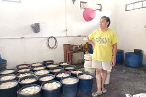 Dilema Perajin Tahu Tempe di Manado: Harga Kedelai Melejit, Untung Terjepit